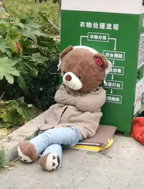  小熊被遗弃以后更新后续