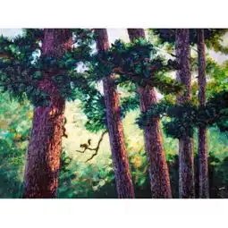  张良武张良武油画风景写生伊春五营红松17类别风景油画x中国书画服务中心