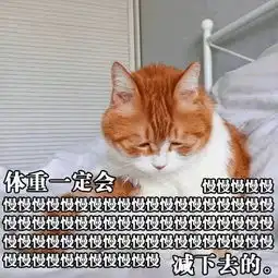  想不出个好标题,好丧啊