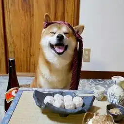 小众搞怪头像柴犬