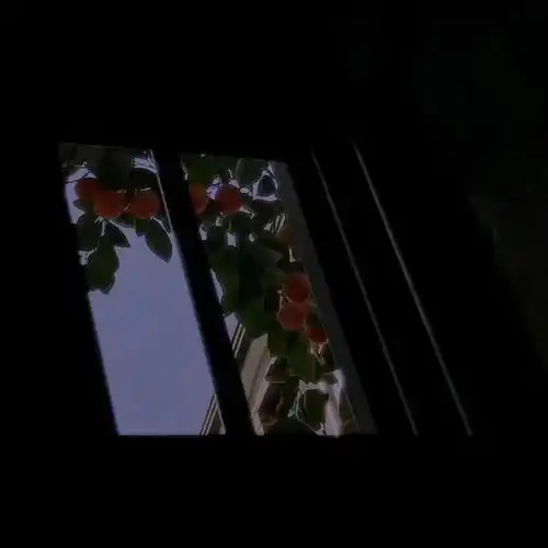  你有哪些备忘录里的宝藏句子