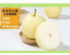 现摘现发皇冠梨5斤10斤新鲜水果当季雪花梨鸭梨红香梨早酥梨梨子