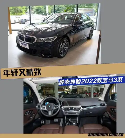 2022年适合放微信头像宝