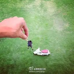  网页链接