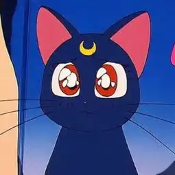 小小阿狸头像黑猫