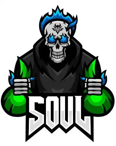  teamsoul