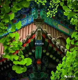  匆匆北京行
