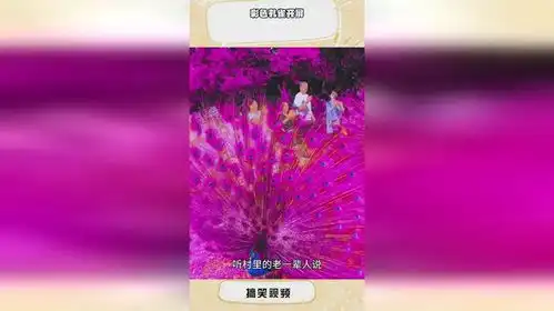  彩色孔雀开屏