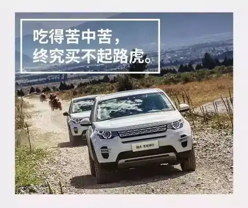  一人我单身贵,二杯半价我喝两杯,七夕节成了单身狗专场营销情报