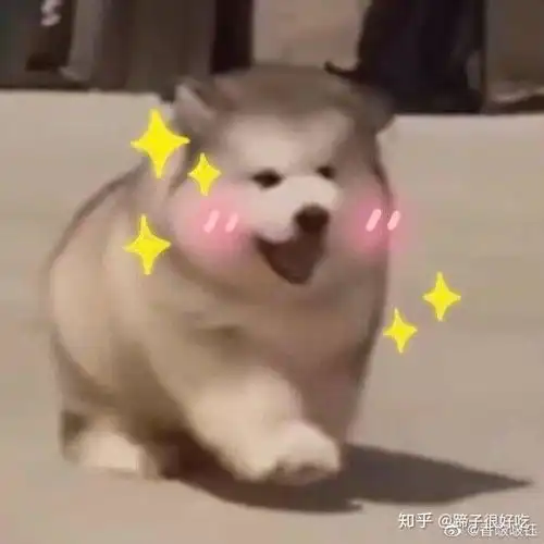  如何评价创造营2020选手希林娜依高