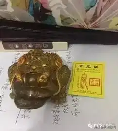  情人节收到的奇葩礼物,哈哈哈这样的男友还是送人吧
