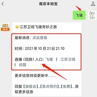  2021江苏卫视飞猪奇妙之旅时间节目单