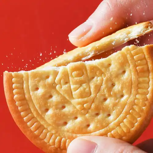  草原鲜乳大饼整箱网红零食小吃早餐薄脆牛奶饼干粗粮送礼800g