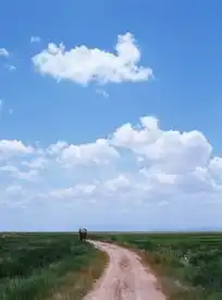  蓝天白云下田野上弯曲的道路下载1167691