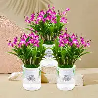  其他品牌鲜花绿植花架子家用室内多层落地式阳台置物架多肉绿萝植物摆放层架花盆架多少钱