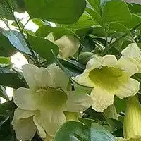  容姐花语的个人主页什么值得买