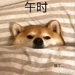  全国十二时辰登上热搜山东版十二时辰居然是......