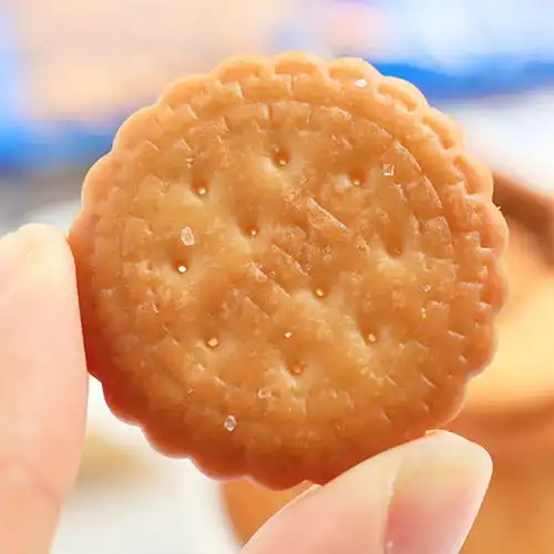  网红日式海盐味小圆饼一整箱小零食大礼包休闲食品饼干批发