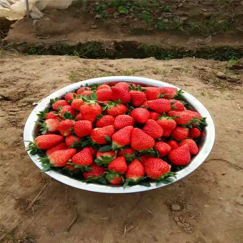  广州黄页88网