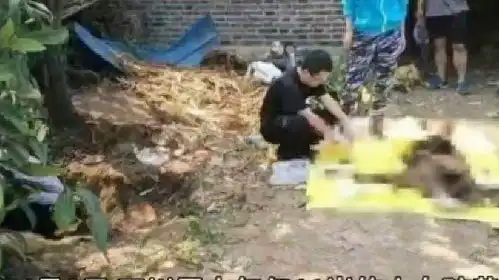 11岁女孩失联后遇害,辨认遗体还要依赖dna,家人情绪崩溃