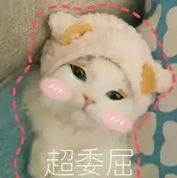  萌宠.表情包猫