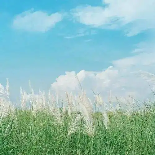  人过五十,如果还在为生计发愁,最好守住以下几个秘密