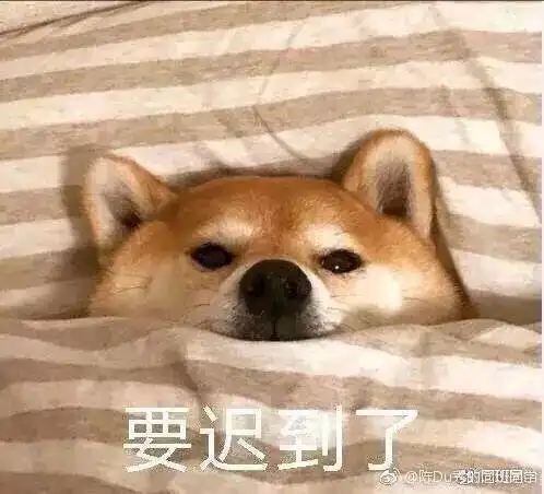  床仙似神仙,但你可不能上天哟
