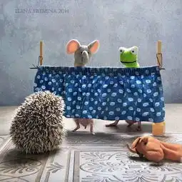  呆萌小刺猬的乐趣生活