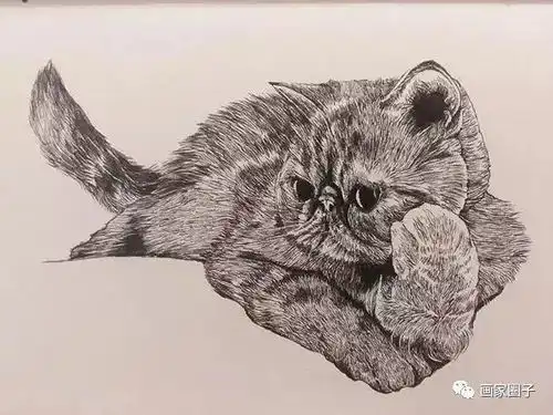  看完他的画,不敢相信是0.5mm的铅笔画的