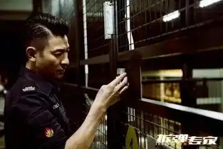  拆弹专家美学化与港味电影的魅惑名家