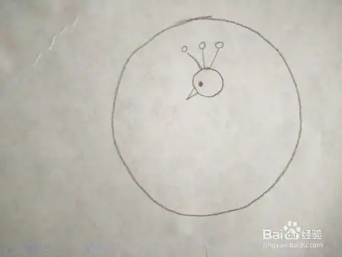  简笔画孔雀最简单的画法