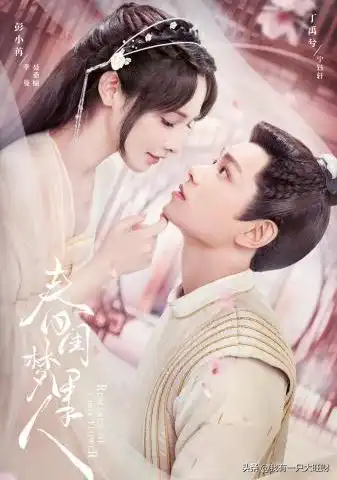  春闺梦里人将门之女却为爱疯狂,聂桑榆四年相守不过笑话一场