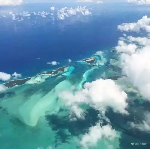 冷门的头像海岛