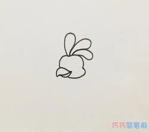  一步一步绘画孔雀简笔画填色简单又可爱