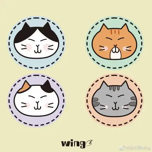  原创猫咪头像线条风插画