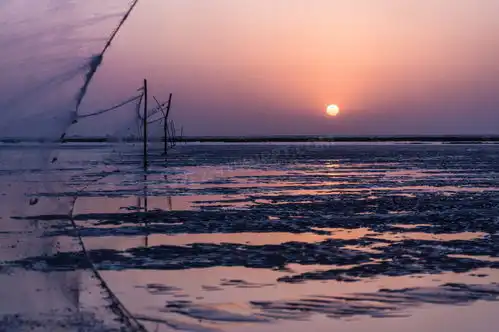  紫色夕阳唯美风景jpg格式图片下载53643566像素熊猫办公