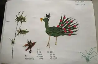  社团风采本草创意大赛