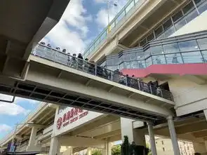  申晨间上海地铁一号线早高峰故障,网速也不给力网友老铁你是不是最近鸭梨有点大