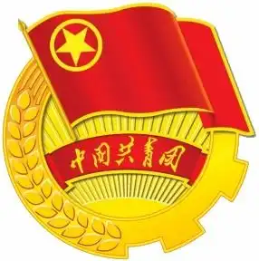  团市委召开优秀青年及青年集体民主测评会
