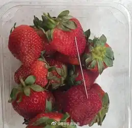 草莓头像图片带文字藏针