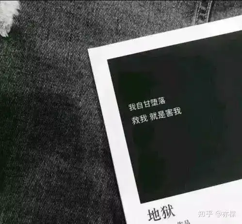  网易云走心的句子4