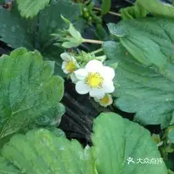  电话,地址,价格,营业时间永丰县休闲娱乐