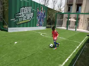  追风少年圆梦西安苏宁置业足球青训营复赛圆满落幕