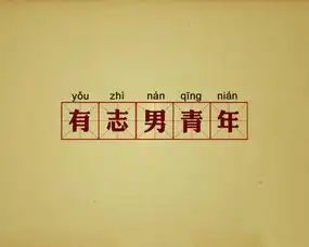  有志男青年