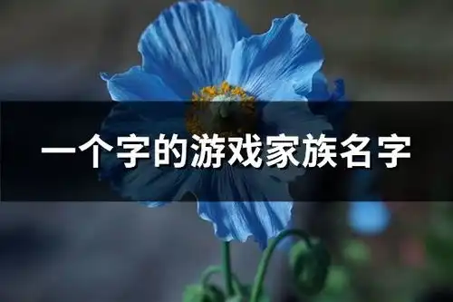  一个字的游戏家族名字共169个
