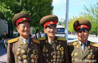  老兵的勋章多的确实有点吓人