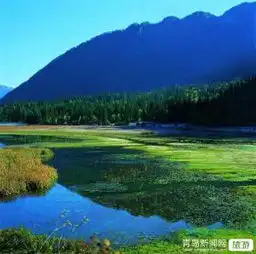 高清魔鬼头像图片塔公草