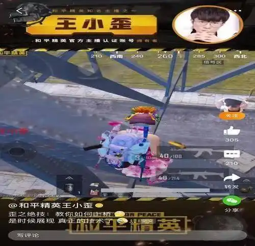  主播还是要靠实力,王小歪连续97把吃鸡,网友称其和平精英一哥