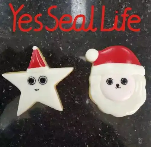  海豹头像又是圣诞了