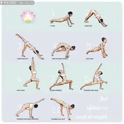  练瑜伽的美女插画图片素材